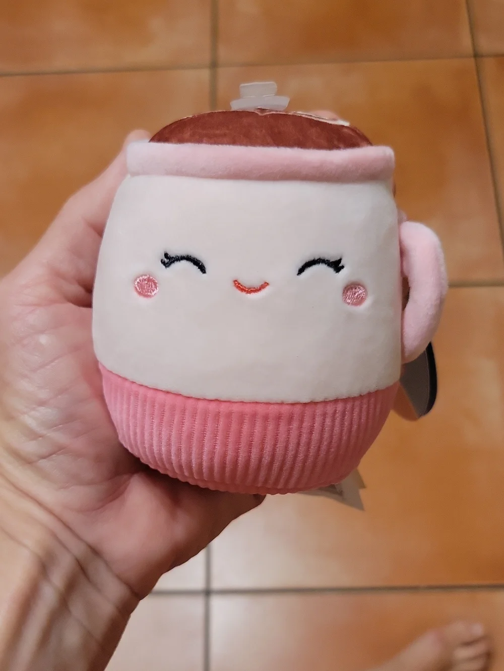 Small Dog Toy Bundle Squeak Hedgehog Minipet Crinkle Latte Squashmallow Plush